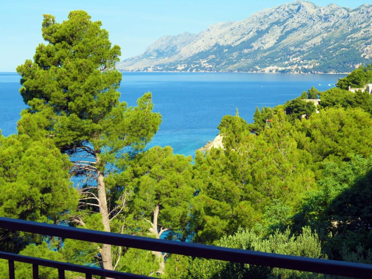 Apartments Pino Brela Εξωτερικό φωτογραφία