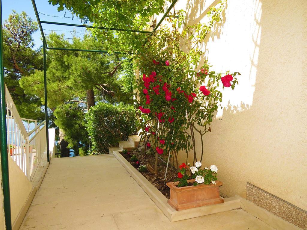Apartments Pino Brela Εξωτερικό φωτογραφία