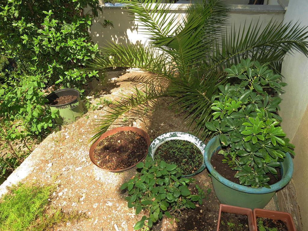 Apartments Pino Brela Εξωτερικό φωτογραφία