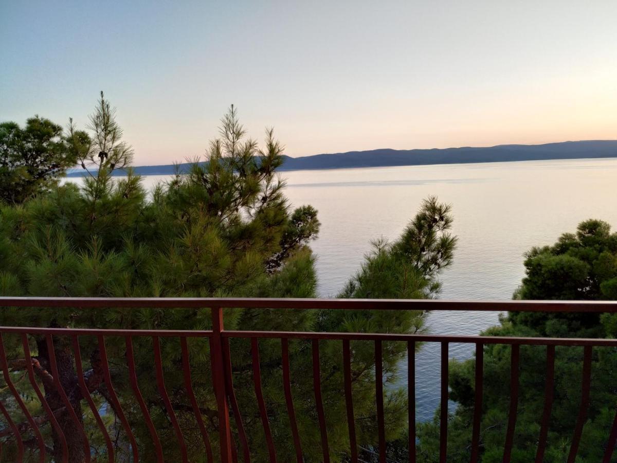 Apartments Pino Brela Εξωτερικό φωτογραφία