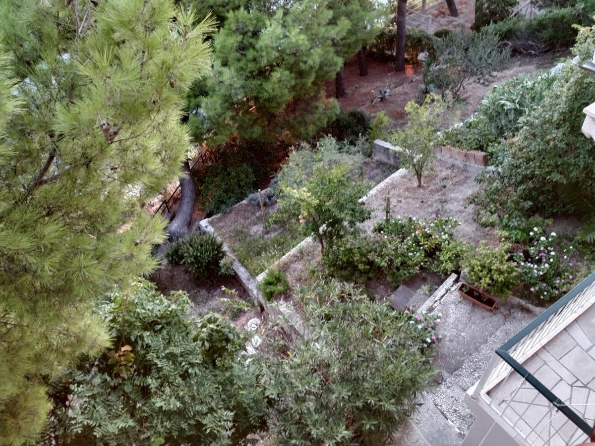 Apartments Pino Brela Εξωτερικό φωτογραφία