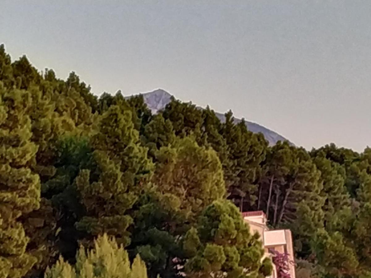 Apartments Pino Brela Εξωτερικό φωτογραφία